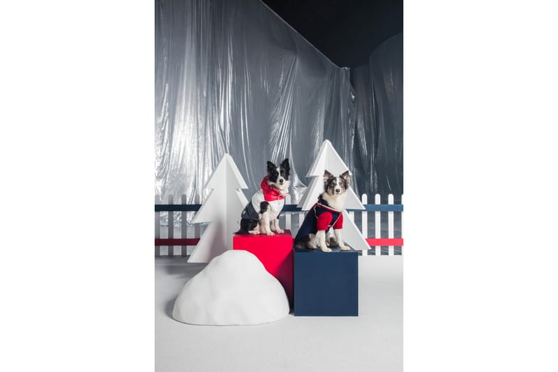 Moncler x poldo dog couture online