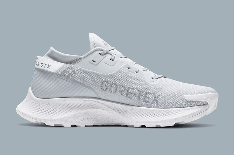pegasus trail 2 gore tex release date