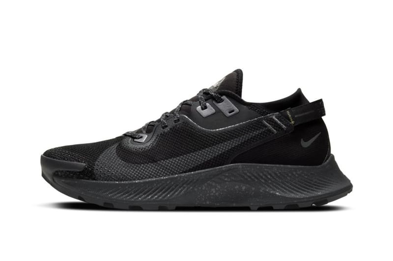 Nike GORE TEX Pegasus Trail 2 Hypebeast