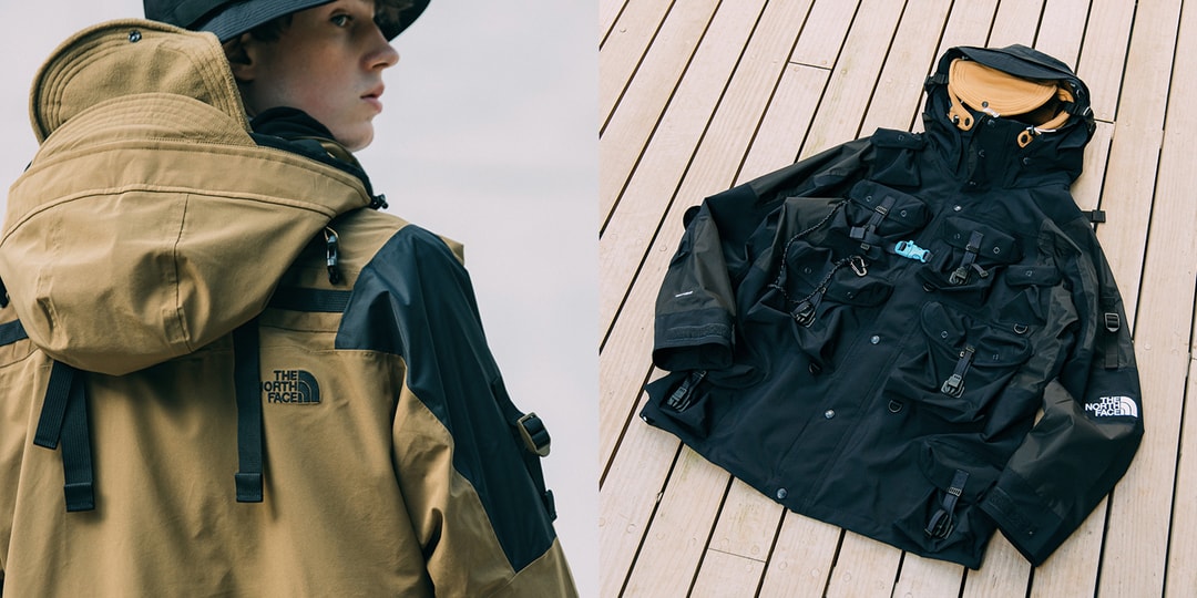 Supreme x The North Face "Statue Of Liberty" Mountain Jacket Red