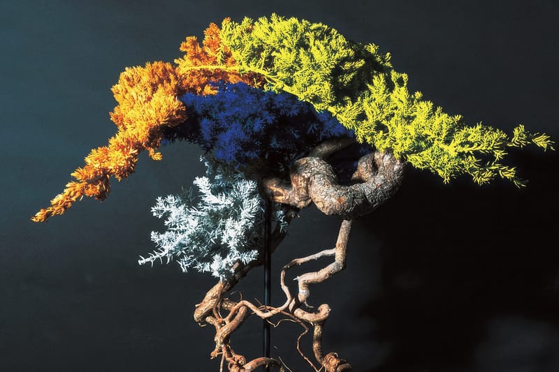 RE BONSAI™ by TOUFU TOKYO 乾盆栽東富東京全新個展即將登場| Hypebeast