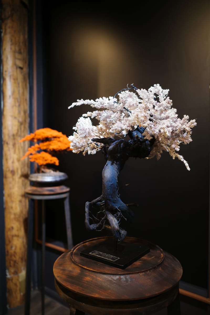 RE BONSAI™ by TOUFU TOKYO 乾盆栽東富東京全新個展即將登場| Hypebeast