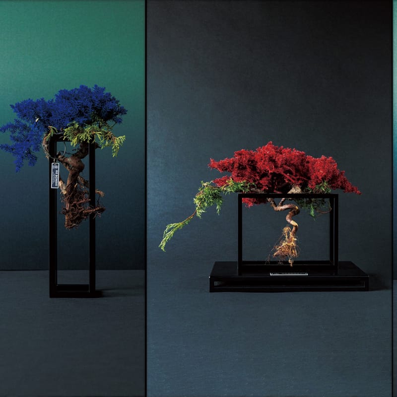 RE BONSAI™ by TOUFU TOKYO 乾盆栽東富東京全新個展即將登場| Hypebeast