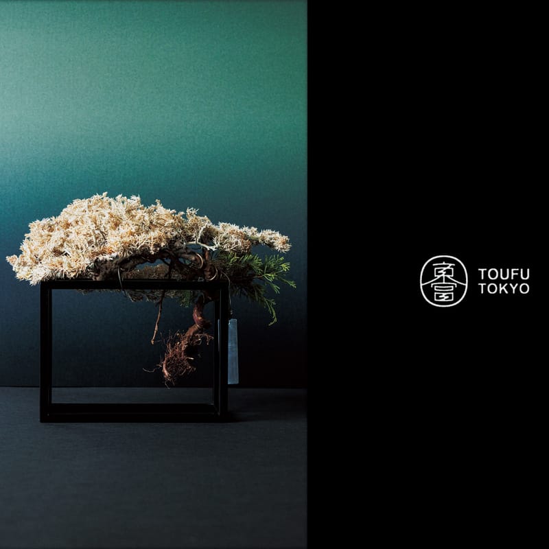 RE BONSAI™ by TOUFU TOKYO 乾盆栽東富東京全新個展即將登場| Hypebeast