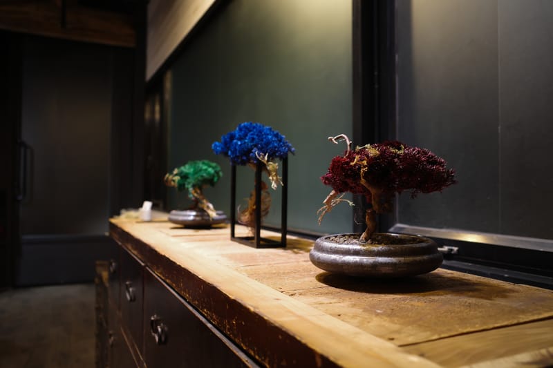 RE BONSAI™ by TOUFU TOKYO 乾盆栽東富東京全新個展即將登場| Hypebeast