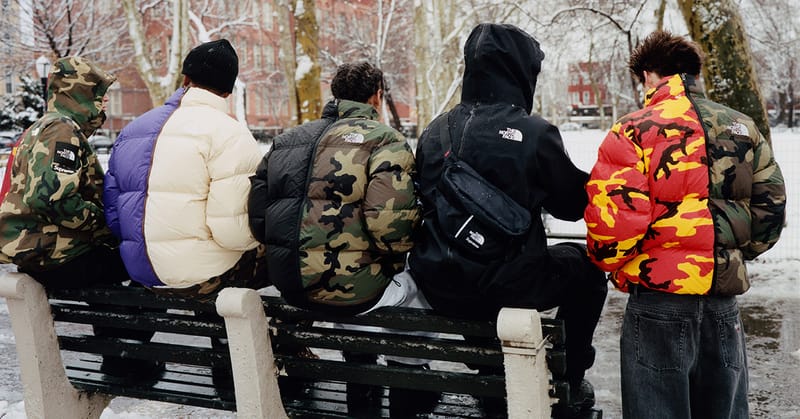 supreme-the-north-face-spring-