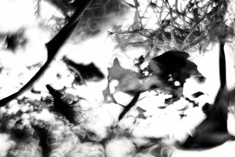 アート・デザイン・音楽 WING SHYA distraction / attraction Wing Shya's Art For Sale, Exhibitions & Biography | Ocula Artist