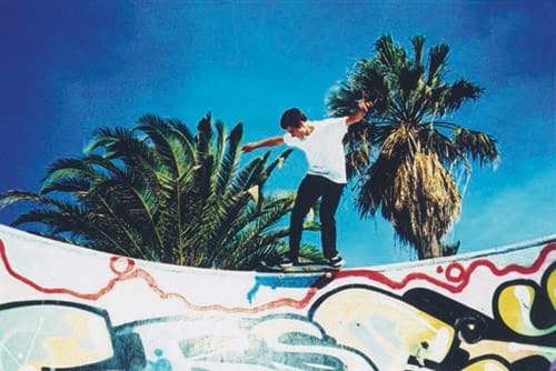 Rip Zinger x Stussy 