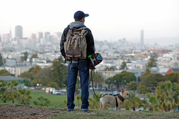 Jansport 2024 dog backpack