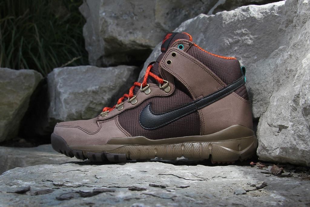 nike dunk oms