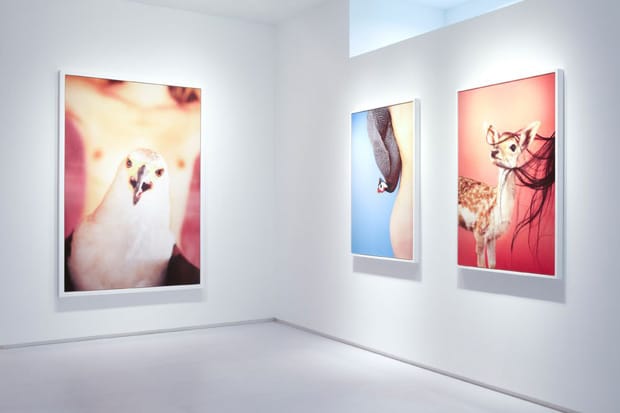 Ryan McGinley “Reach Out, I'm Right Here” @ Tomio Koyama Gallery 