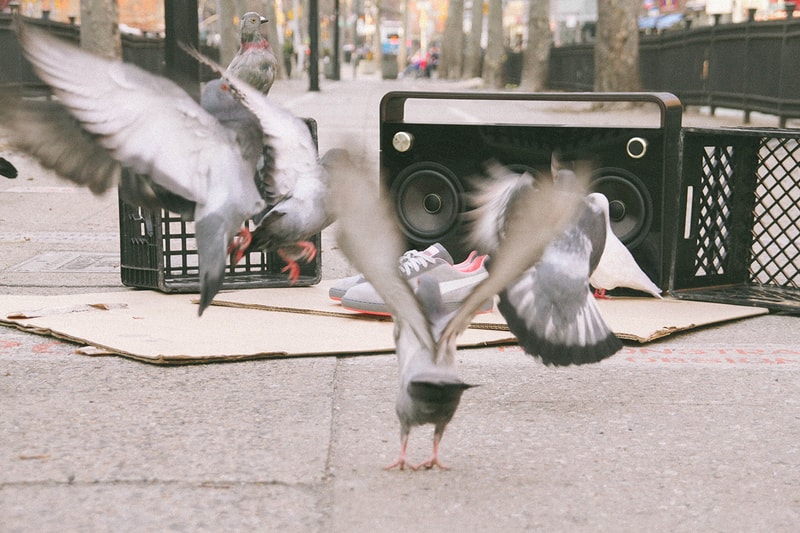puma suede classic x pigeon