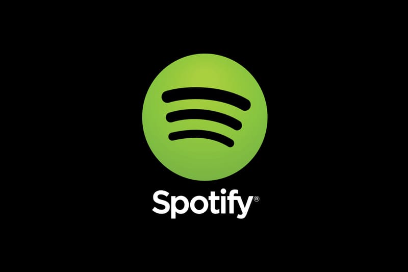 spotify download individual songs