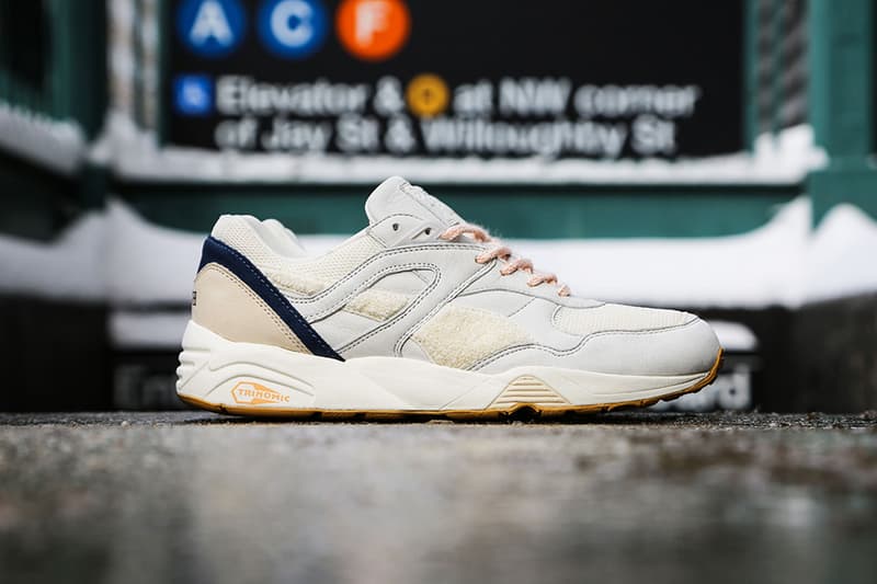 puma spring and rubber industries