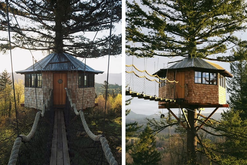This Self-Built Treehouse Has a Skate Bowl and Hot Tub Underneath 
