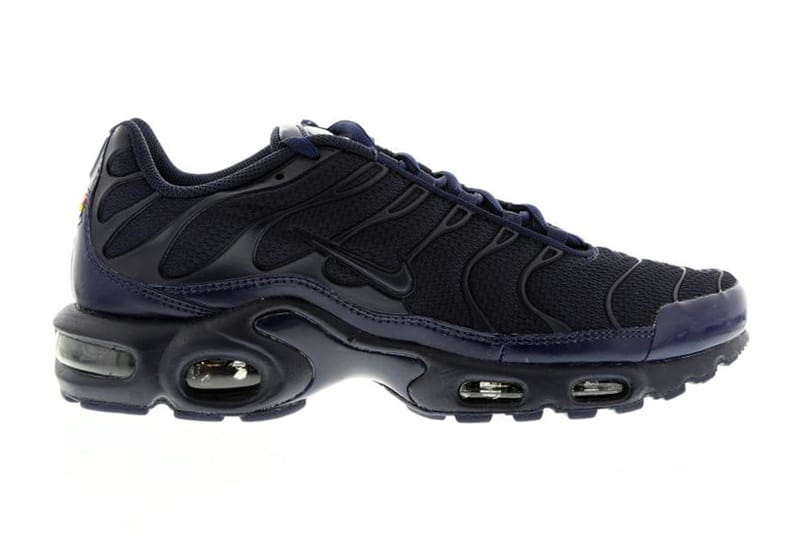 Air max shop plus navy