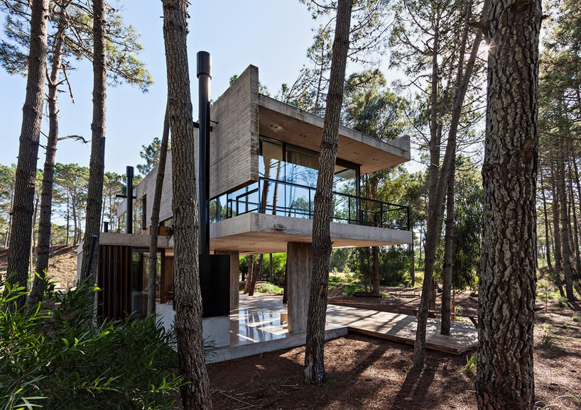 В доме ATV Arquitectos Marino пахнет сосновым лесом