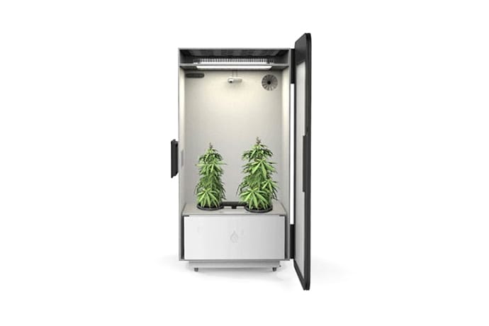 Шкаф для выращивания марихуаны купить darknet webcam hyrda вход