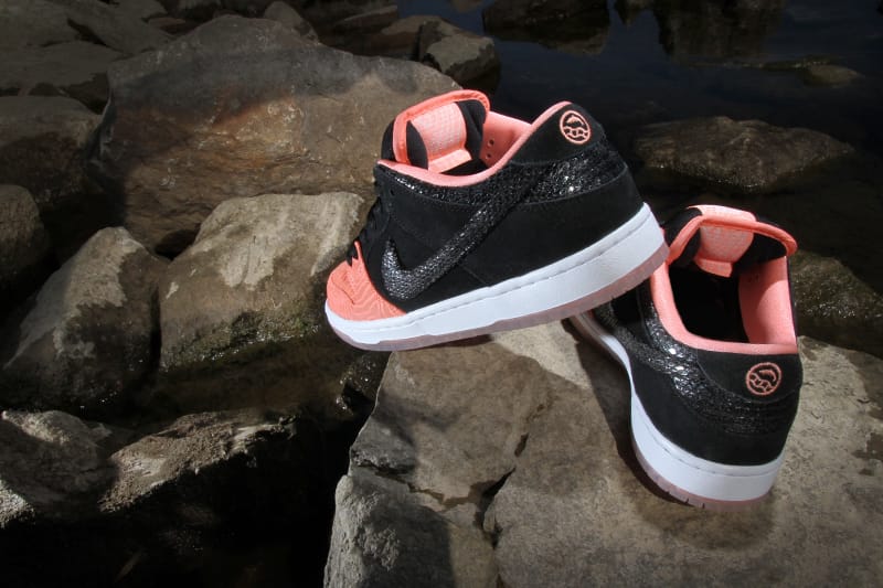 Nike on sale sb salmon