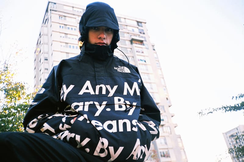 Supreme the north face 2015 new arrivals