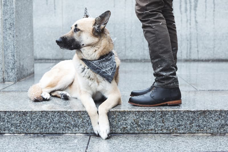 nisolo emilio chukka boot