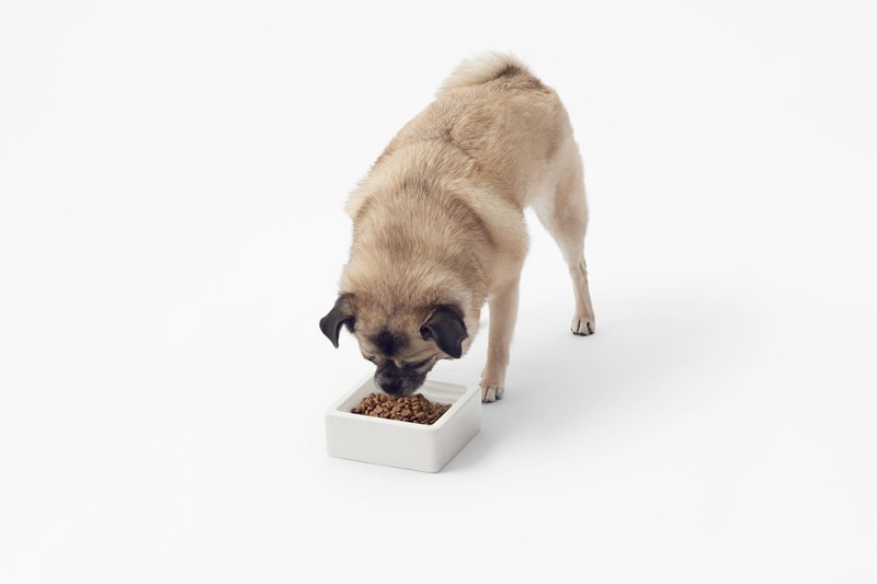 nendo Cubic Pet Goods | Hypebeast