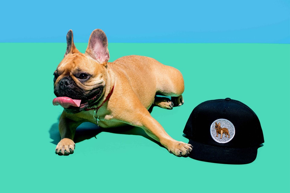 Dog Limited Presents People Clothes for Dog People HYPEBEAST