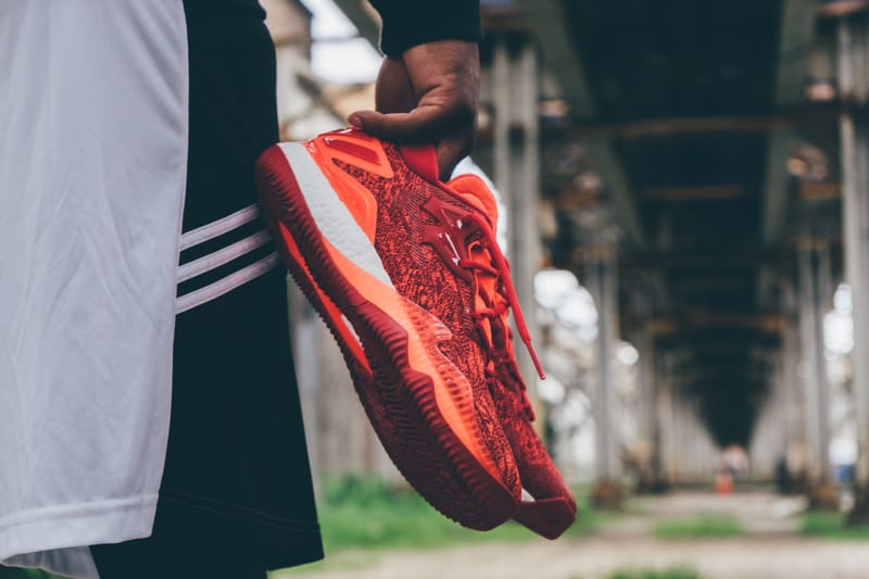 Adidas crazylight boost 2016 on cheap feet