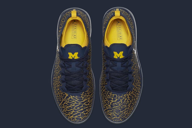 Jordan trainer 1 low on sale michigan