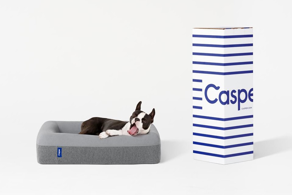 Casper теперь производит матрасы из пены с эффектом памяти для собак