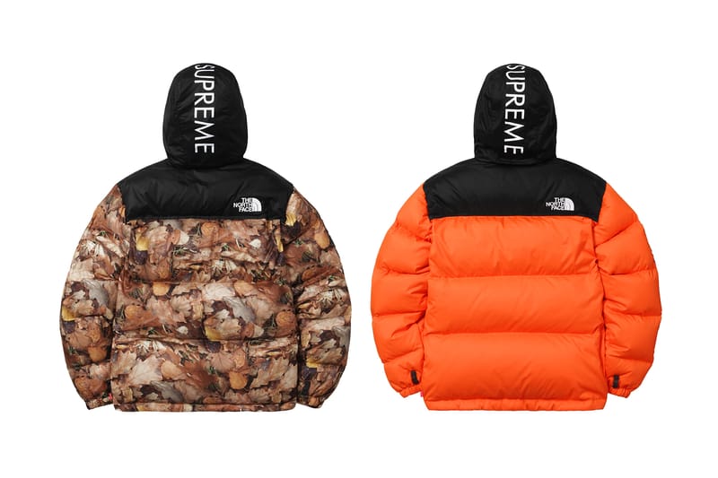 Supreme the store north face 2016