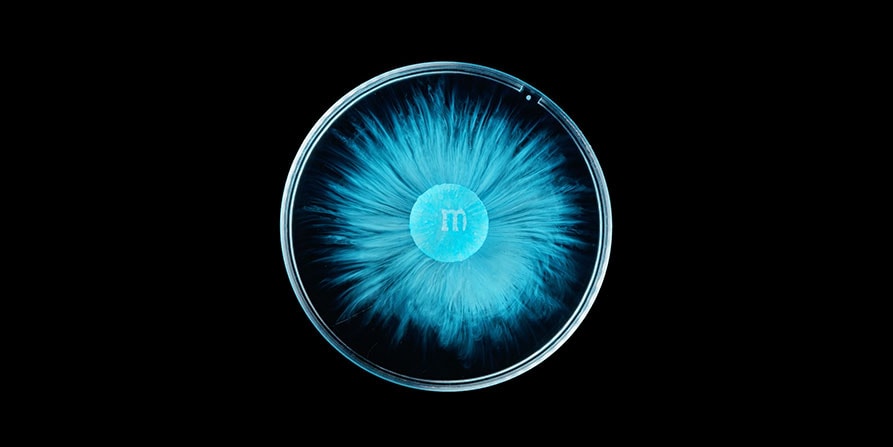 M&Ms Dissolving Slow Motion Timelapse | HYPEBEAST