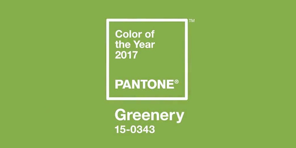 Официально объявлен новый цвет 2017 года по версии Pantone