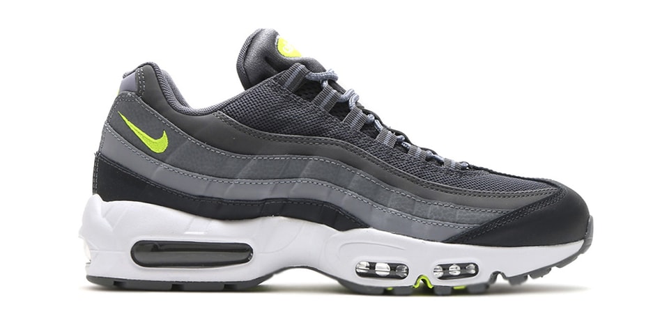 max95 neon