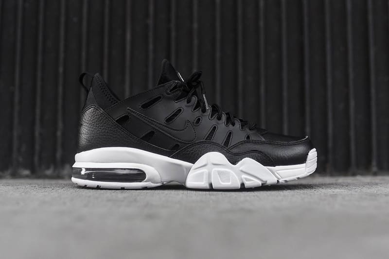 Air store trainer max