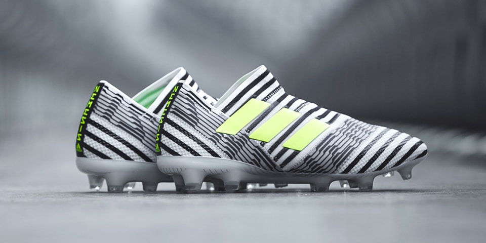 nemeziz zebra