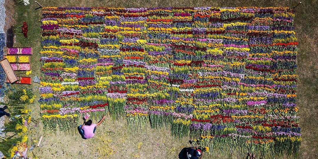 Адзума Макото составляет и разкладывает цветы на выставке в Рио