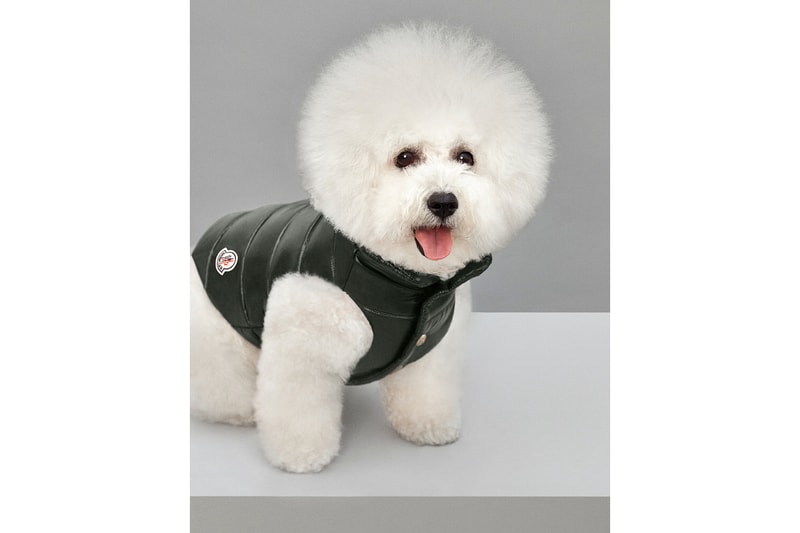 Moncler Drops "Mondog" Puffer Jackets for Dogs Hypebeast