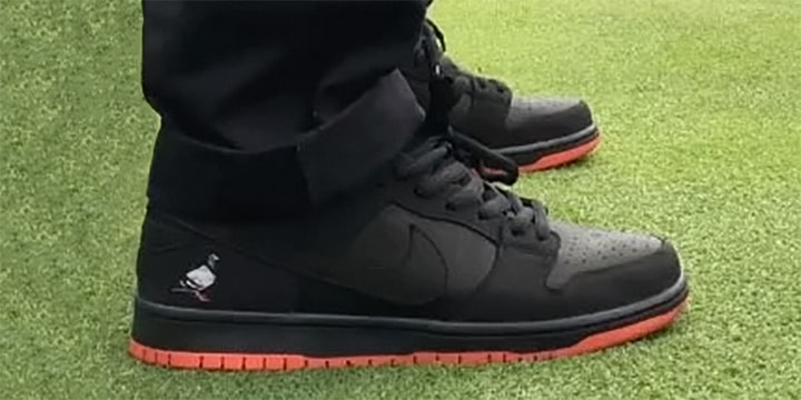 sb pigeon