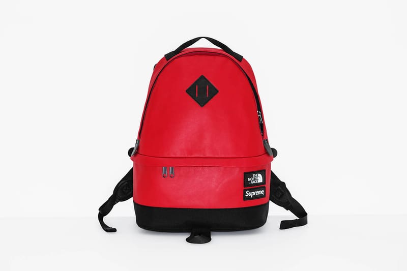 Supreme the north face deals leather day pack