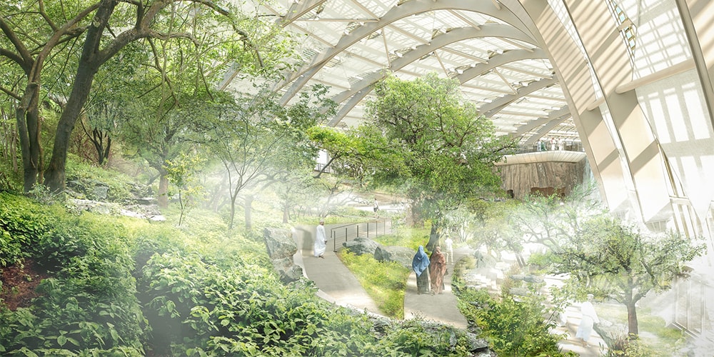 Ботанический сад Омана станет крупнейшим на Земле