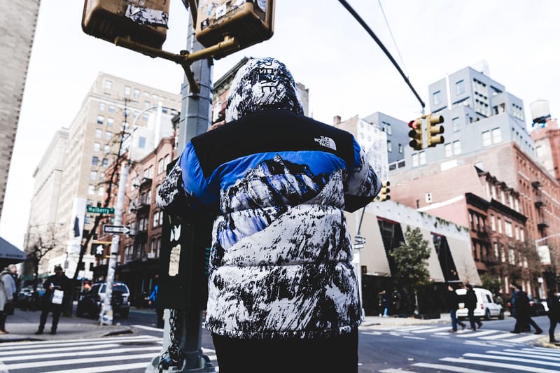 Supreme x outlet tnf mountain jacket