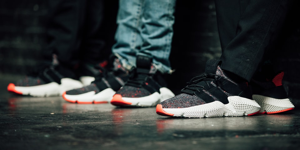 fat tiger adidas