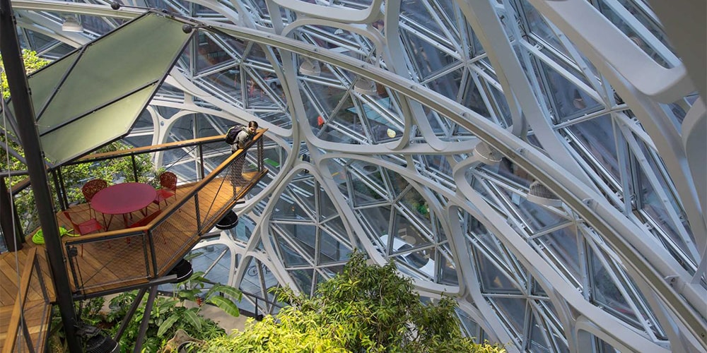 Взгляд внутрь новых биосфер Амазонки в Сиэтле