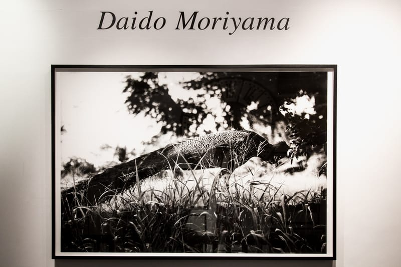 Daidō Moriyama Prints @ Michael Hoppen Gallery | Hypebeast