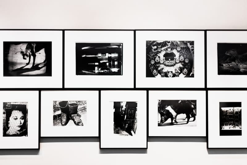 Daidō Moriyama Prints @ Michael Hoppen Gallery | Hypebeast