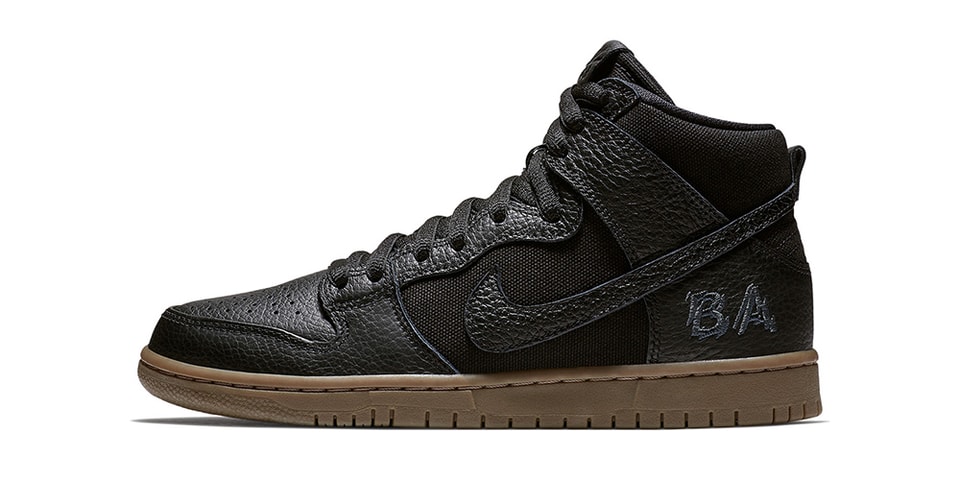 dunk high pro sb brian anderson