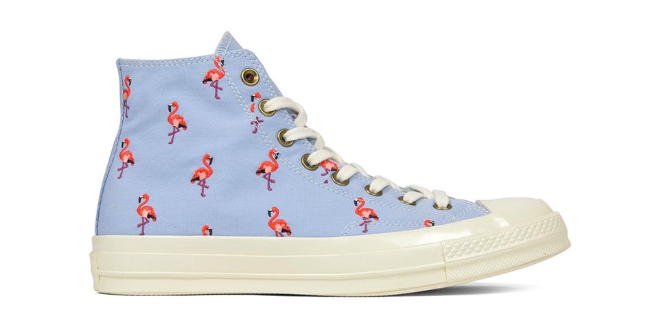 flamingo chuck taylors