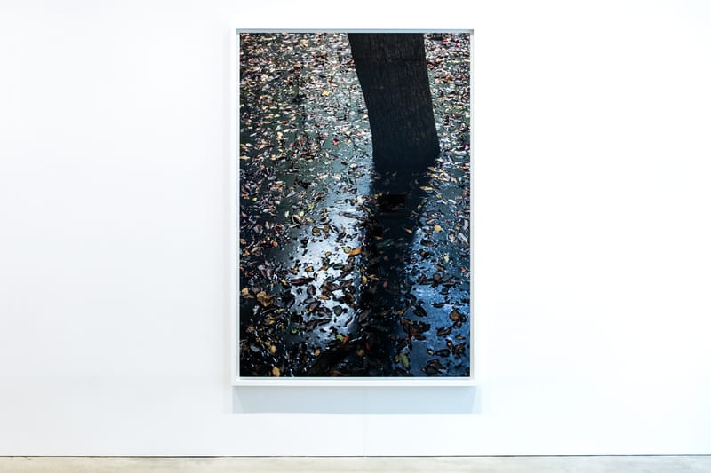 Wolfgang Tillmans David Zwirner Hong Kong | Hypebeast Wolfgang Tillmans David Zwirner Hong Kong | Hypebeast