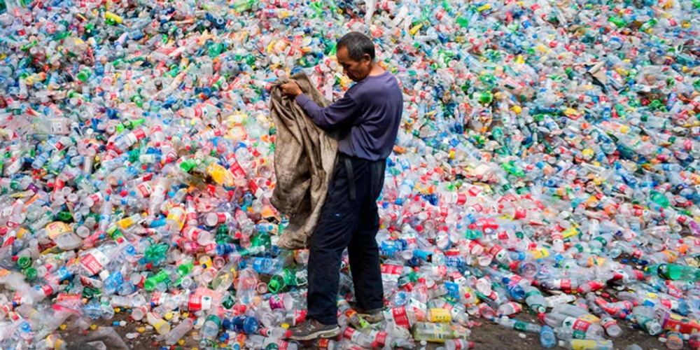 Бактерии — ответ на глобальный кризис пластикового загрязнения?